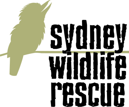 Sydney Wildlife Rescue