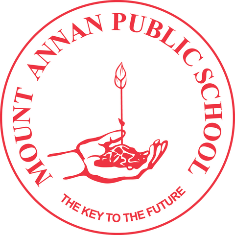 Mount Annan Public School